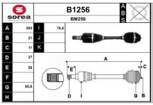 SNRA B1256