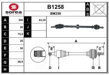 SNRA B1258