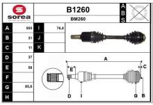 SNRA B1260