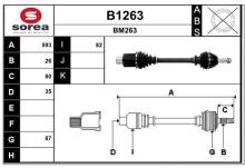 SNRA B1263