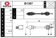 SNRA B1307