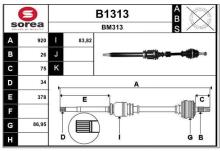 SNRA B1313