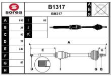 SNRA B1317