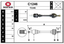 SNRA C1246
