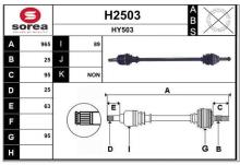 SNRA H2503