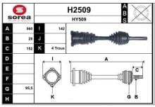SNRA H2509