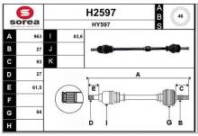 SNRA H2597
