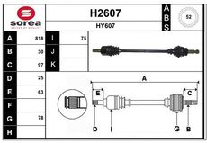 SNRA H2607