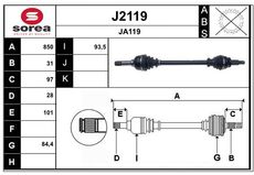 SNRA J2119