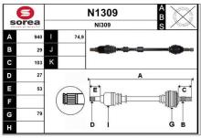 SNRA N1309