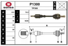 SNRA P1300