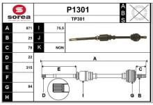 SNRA P1301