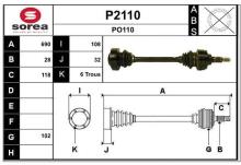 SNRA P2110