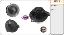 AHE 307.019