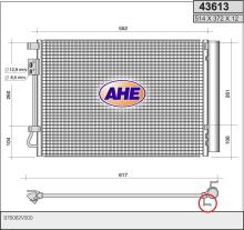 AHE 43613