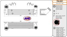 AHE 704.021