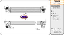 AHE 704.030