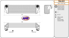 AHE 704.031
