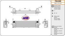 AHE 704.040