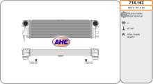 AHE 718.163