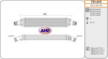 AHE 731.013