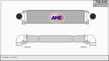 AHE 732.019
