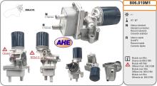 AHE 806.019M1