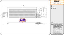 AHE 818.021