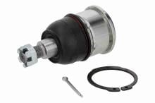 ACKOJA A26-0293