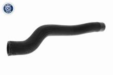 ACKOJA A32-1604