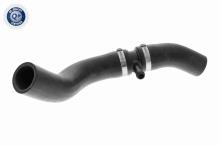 ACKOJA A38-1608