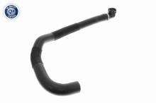 ACKOJA A52-1604