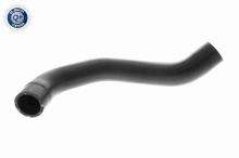 ACKOJA A52-1609
