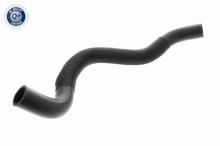 ACKOJA A53-1601
