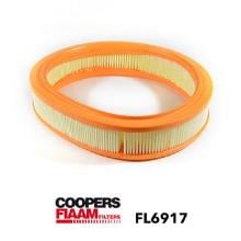 Coopersfiaam FL6917