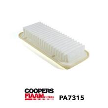Coopersfiaam PA7315