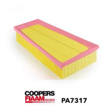 Coopersfiaam PA7317