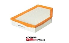 Coopersfiaam PA7318