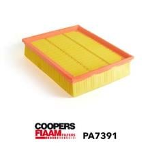 Coopersfiaam PA7391