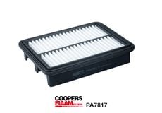 Coopersfiaam PA7817