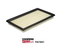 Coopersfiaam PA7891