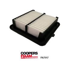 Coopersfiaam PA7917