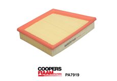 Coopersfiaam PA7919