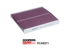 Coopersfiaam PCA8571