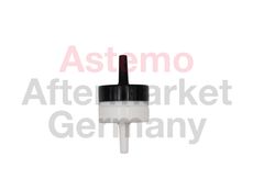 ASTEMO-HITACHI 2509317