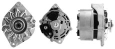 LUCAS LRA00774