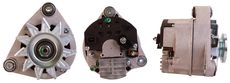 LUCAS LRA02586