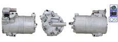 LUCAS ACP01288
