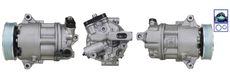 LUCAS ACP01514