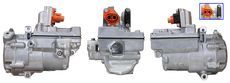 LUCAS ACP01576